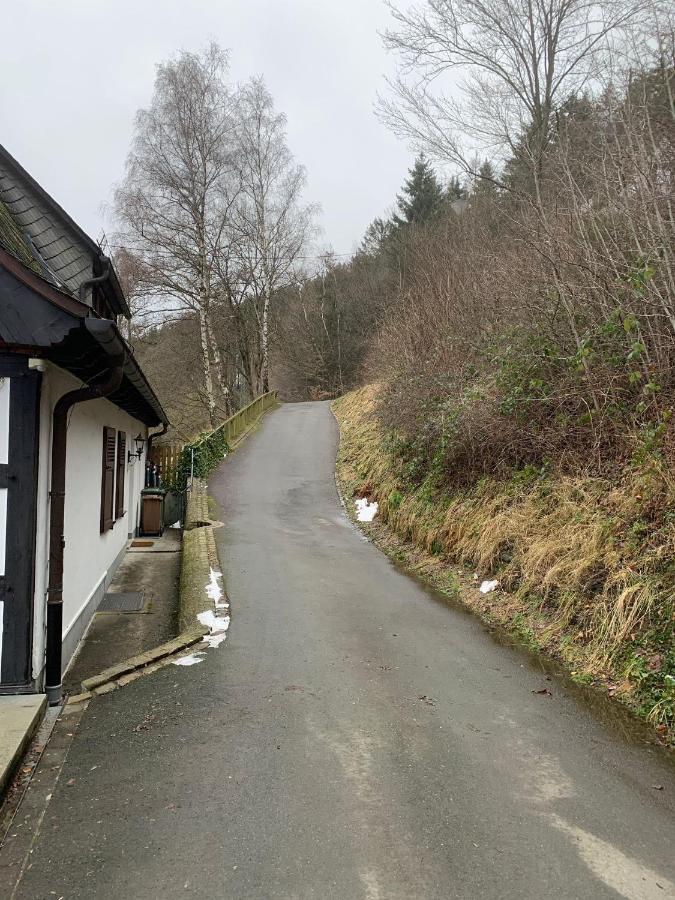 Berghaus 2 Komfortable Wohnungen Fuer Bis Zu 7 Personen - Familie - Wandern - E-Bike - Hunde - E-Ladesaeule - Wifi Schmallenberg Extérieur photo
