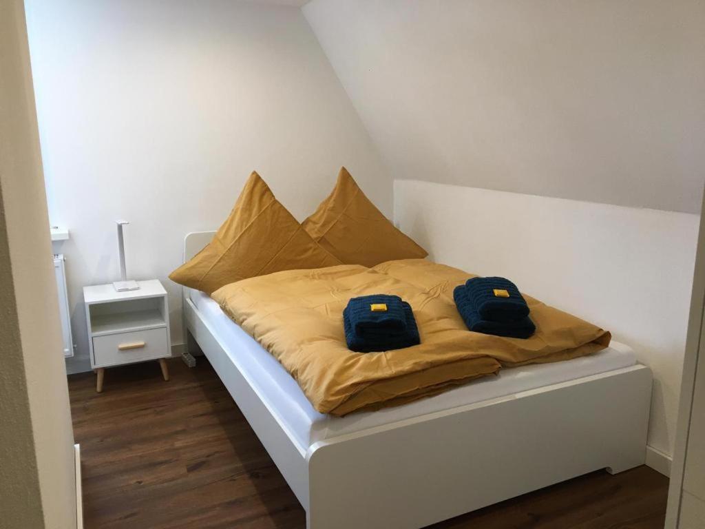 Berghaus 2 Komfortable Wohnungen Fuer Bis Zu 7 Personen - Familie - Wandern - E-Bike - Hunde - E-Ladesaeule - Wifi Schmallenberg Extérieur photo
